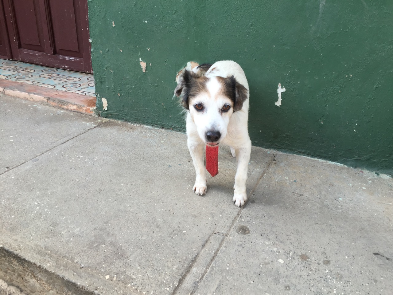 Thoughts on Cuban Communism — review needed