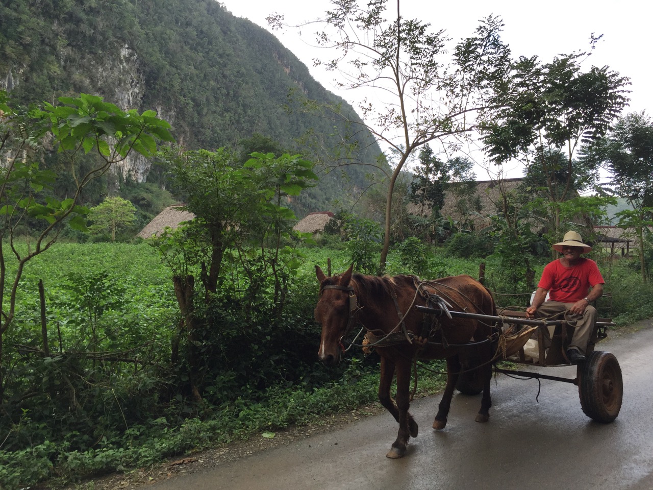 9 Tips to Make the Most of Your Trip to Cuba — review needed
