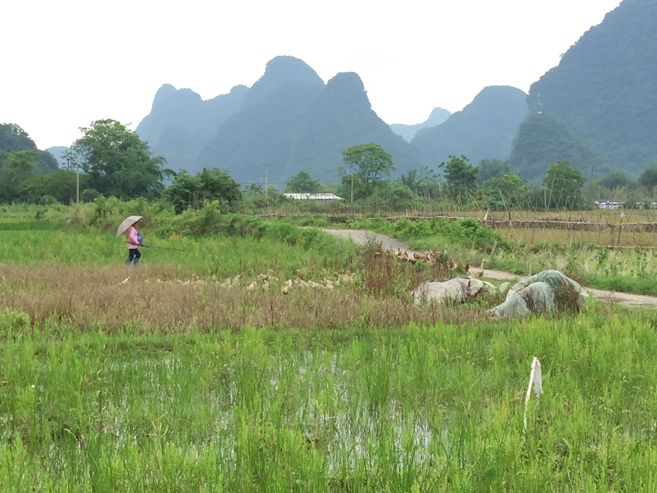 My 30th Country: What I’ve Learned About the World — review needed