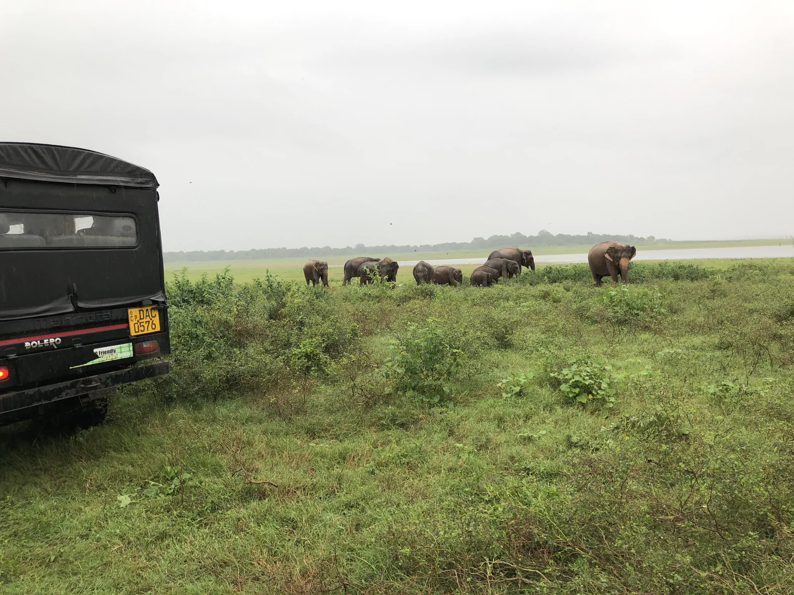 Elephants at a wildlife sanctuary in Sri Lanka