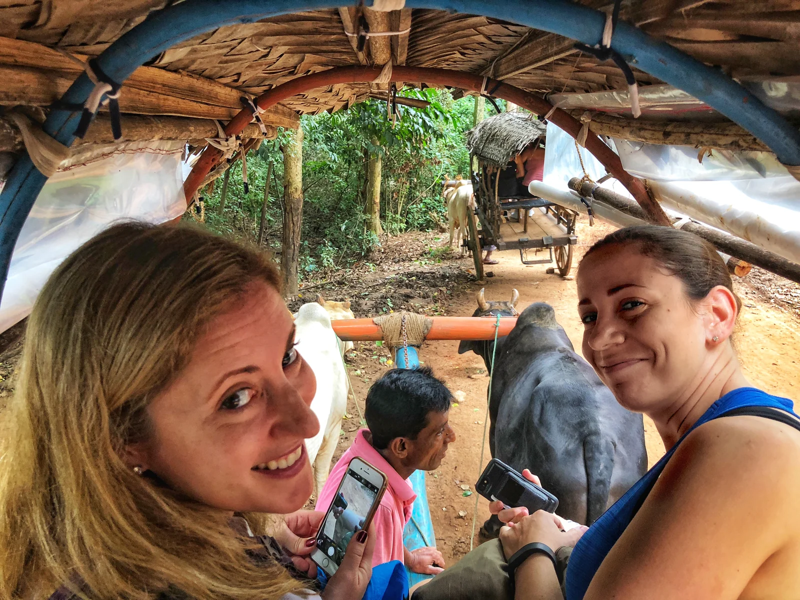 Traditional ox cart ride in rural Sri Lanka